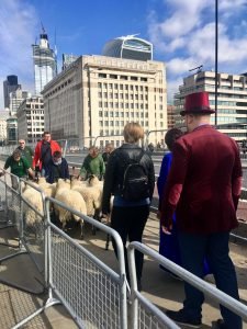 Tyler Carey marching the flock of sheep across London Bridge